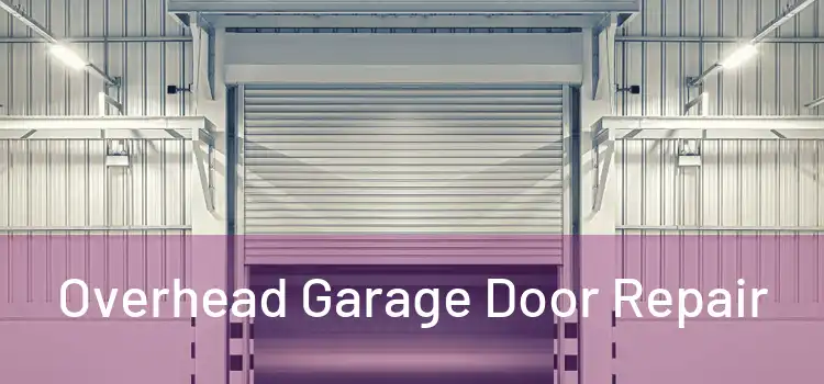  Overhead Garage Door Repair 